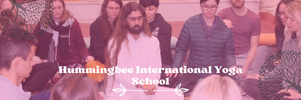 Yoga international school